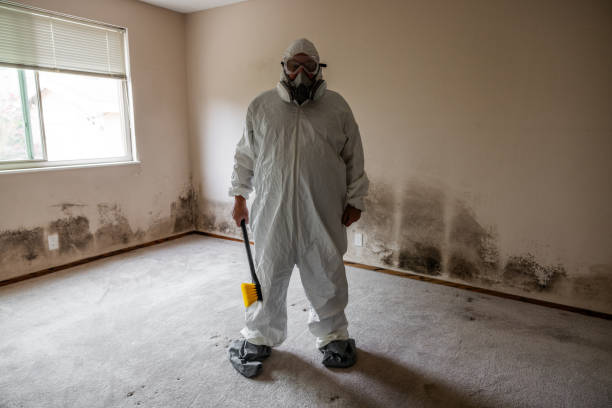 Best Mold Remediation for Healthcare Facilities  in Milan, MO